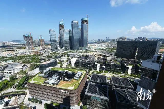 各区开足马力，助力大湾区建设提速